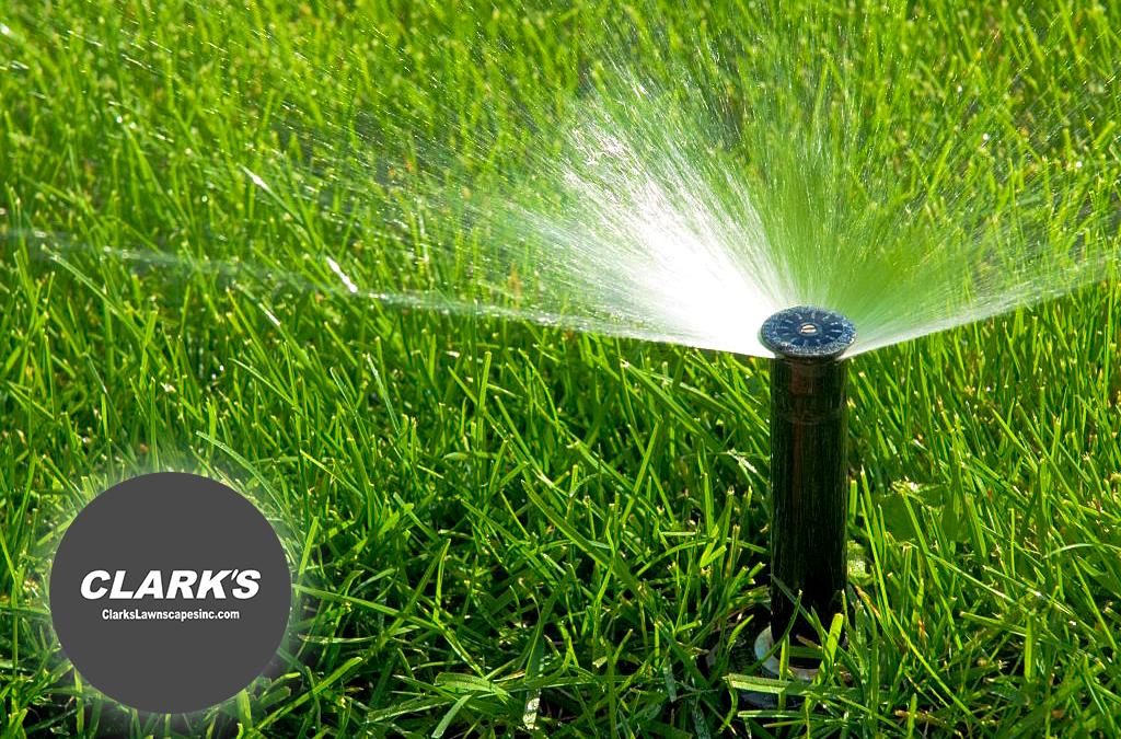 Clark’s Does Residential & Commercial Irrigation