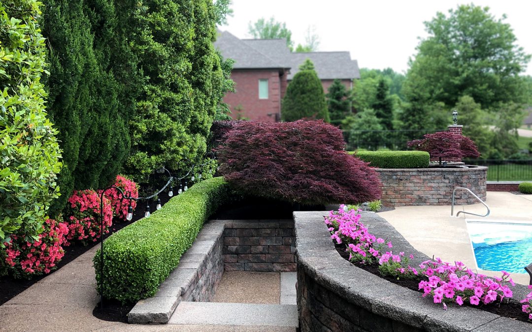 Why Pruning Matters for Landscaping