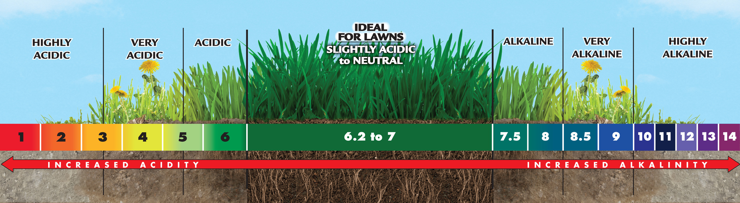 How To Lower Soil Ph For Centipede Grass at Joann Short blog