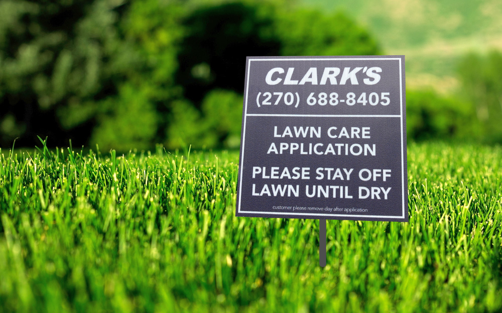 Why a Spring Lawn Program Matters