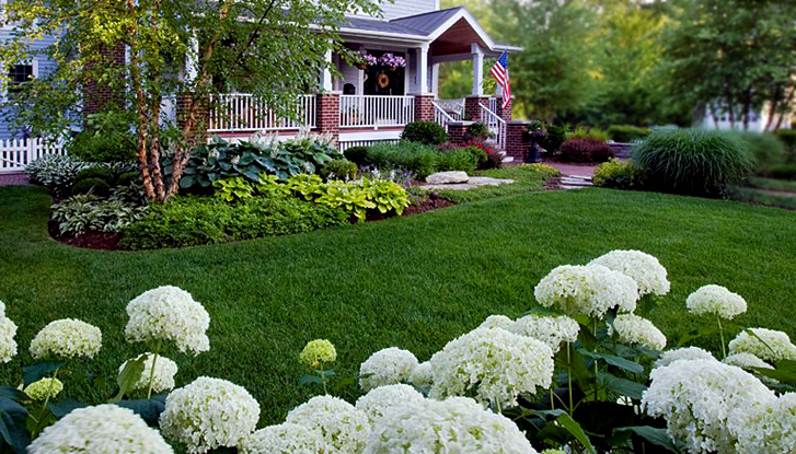 Aeration & Overseeding Improves Your Lawn’s Health
