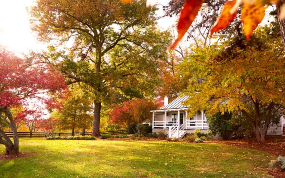 Essential Fall Lawn Care Tips